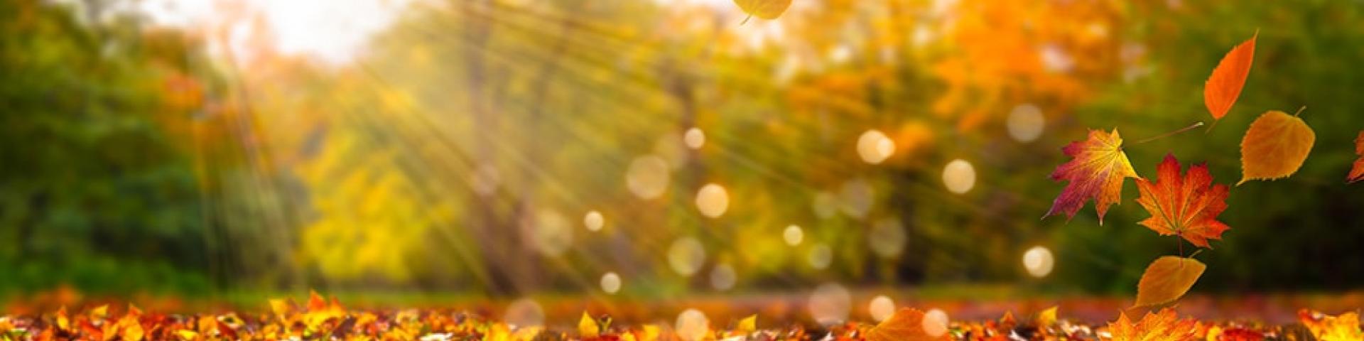Herfst